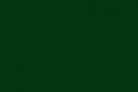 Зелёный мох