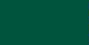 RAL 6005